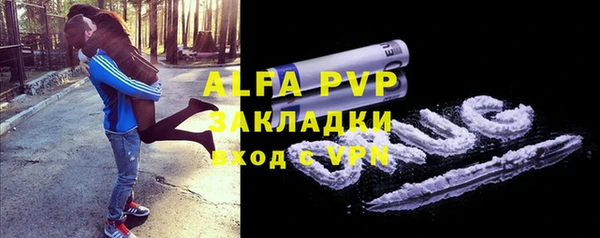 эйфоретик Ельня