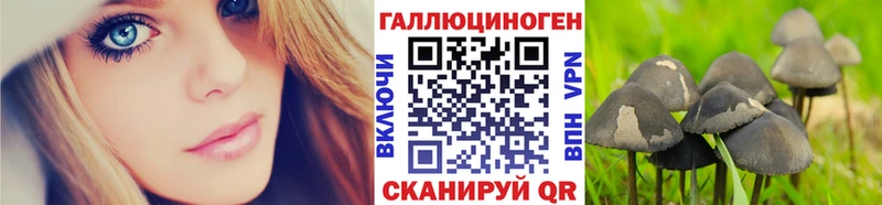 где продают наркотики  Вытегра  Галлюциногенные грибы мицелий 